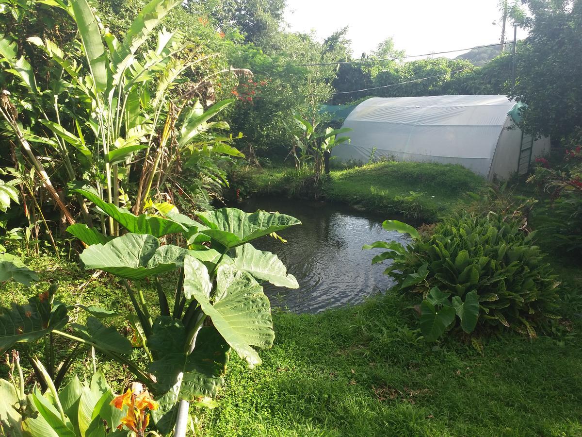 מונטה ורדה Rancho De Lelo Ecolodge מראה חיצוני תמונה