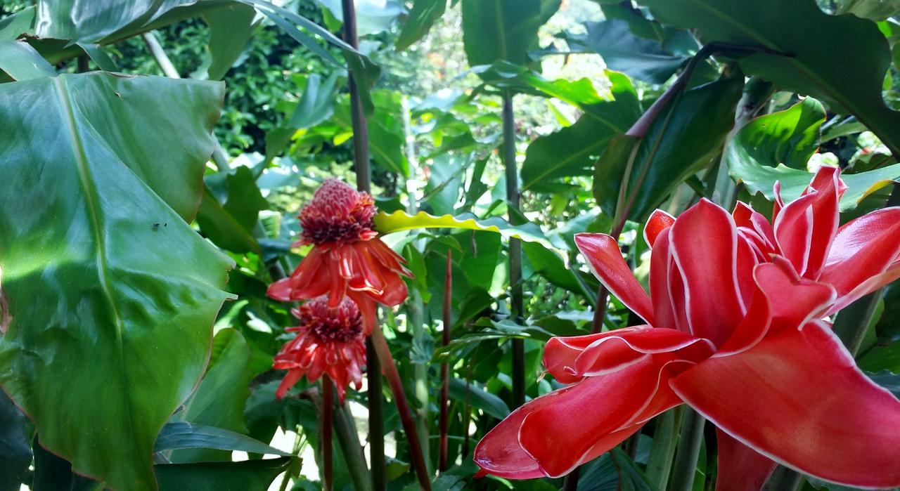 מונטה ורדה Rancho De Lelo Ecolodge מראה חיצוני תמונה