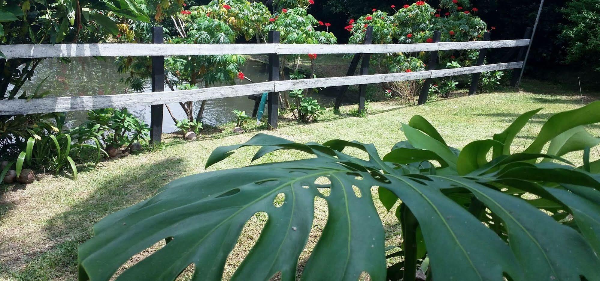 מונטה ורדה Rancho De Lelo Ecolodge מראה חיצוני תמונה