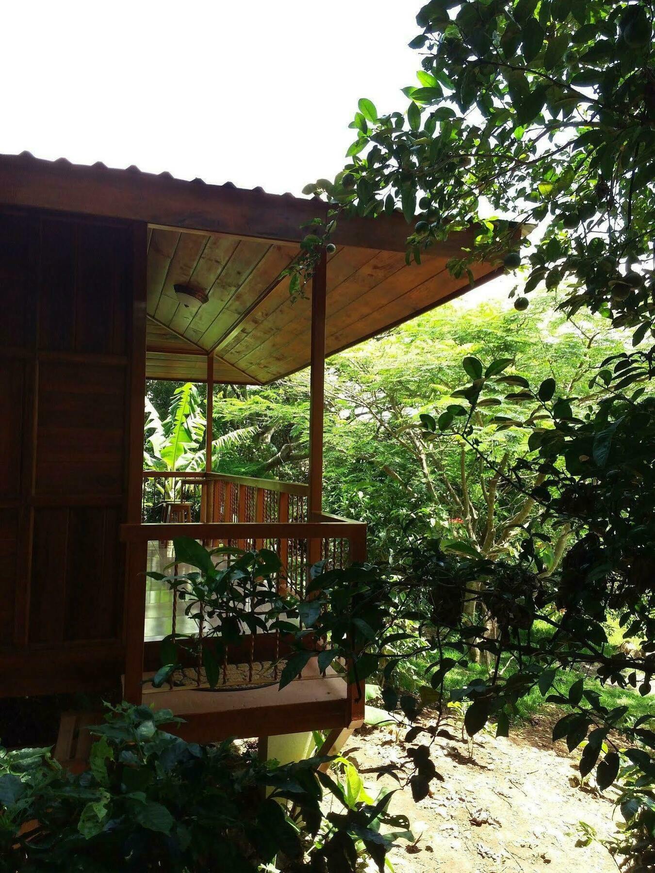 מונטה ורדה Rancho De Lelo Ecolodge מראה חיצוני תמונה