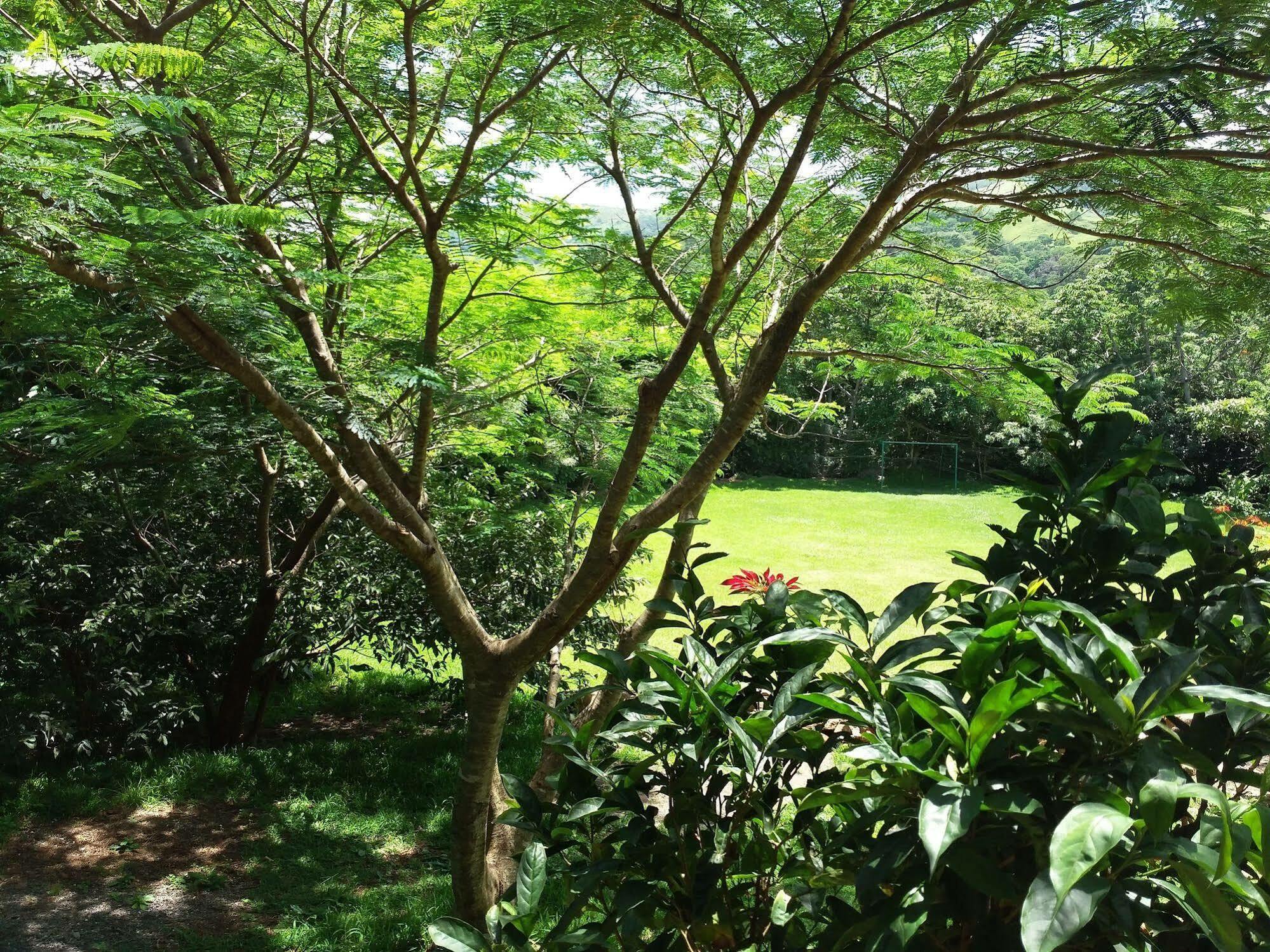 מונטה ורדה Rancho De Lelo Ecolodge מראה חיצוני תמונה