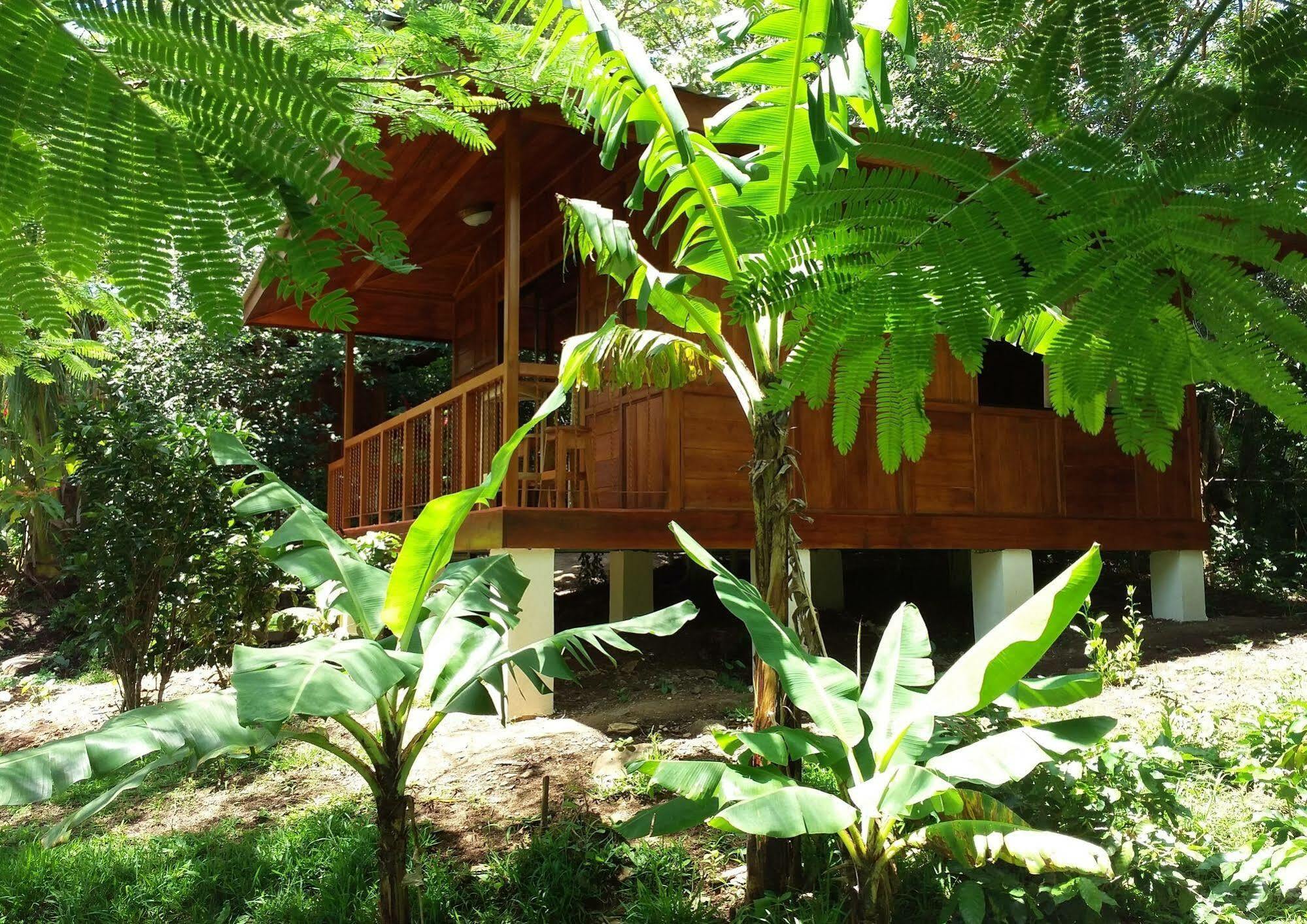 מונטה ורדה Rancho De Lelo Ecolodge מראה חיצוני תמונה